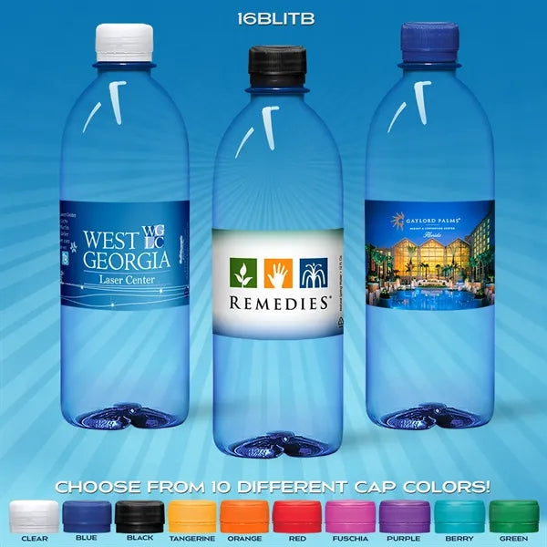 16.9 oz Blue Bullet Bottle with Flat Cap