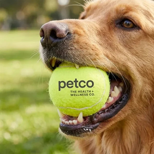 Pet Fetch Toy Tennis Ball